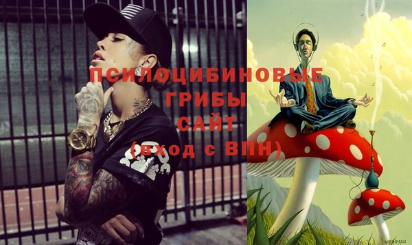 эйфоретик Абаза