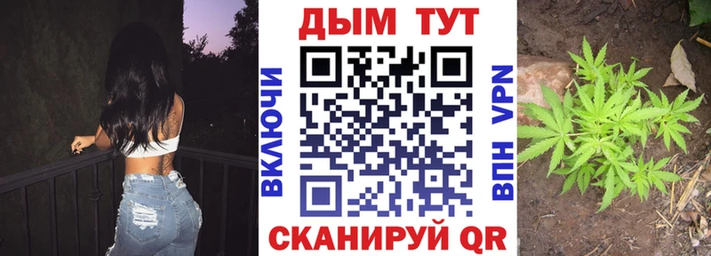 МАРИХУАНА индика Яблоновский